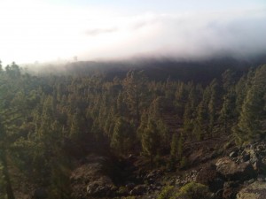 Climbing Mount Teide and breaking through the clouds